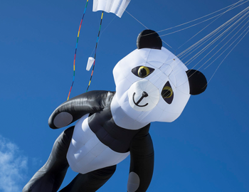 Kite Festival Teaser