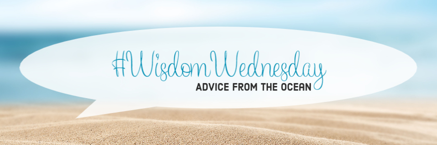 #WisdomWednesday - Advice From The Ocean