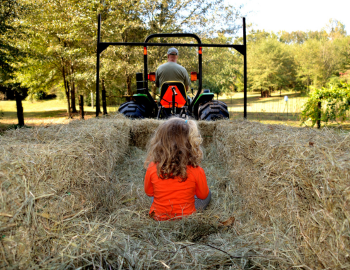 Little girl on a hayride pulled by a tractor.