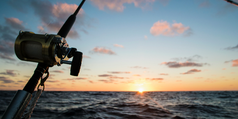 Close-up of fishing pool; background ocean sunset.