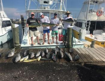 wanchese marina dolphin tours & charter boats wanchese marina dolphin tours & charter boats