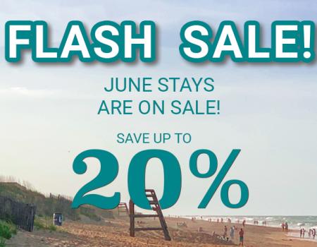 June Flash Sale - Save up to 20% June Flash Sale - Save up to 20%