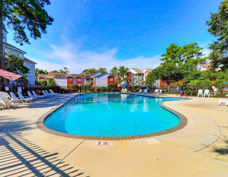Peace of Paradide Sparkling pool on a sunny summer day at Peace of Paradise