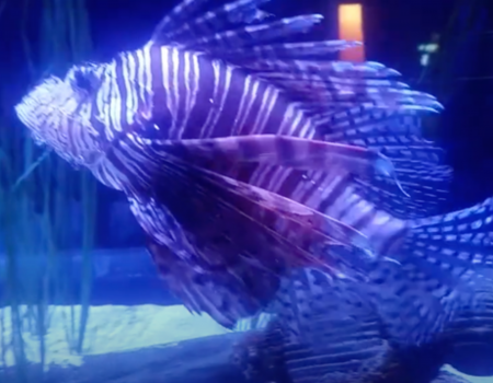 Rainy Day Activities