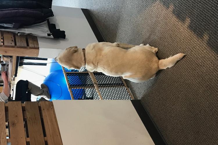 test page builder Group center alternate text