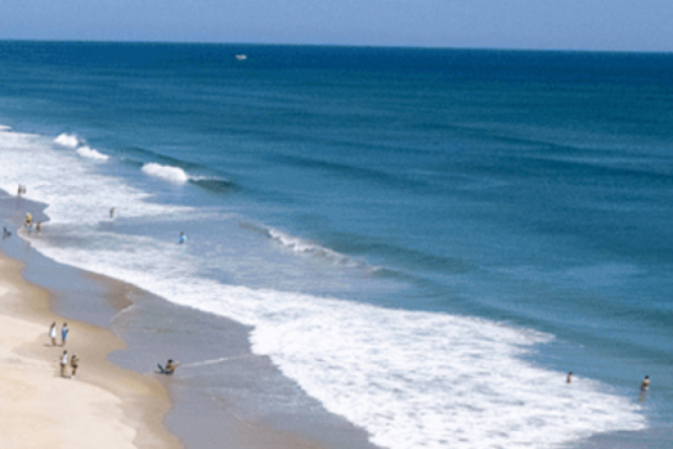 Aerial view of Outer Banks beach. View of blue water and visitors on the sand.
