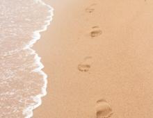 Outer Banks February Mini-Vacation Trip Planner Outer Banks February Mini-Vacation Trip Planner