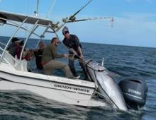 Giant Bluefin Tuna Recently Caught Off Outer Banks Coast