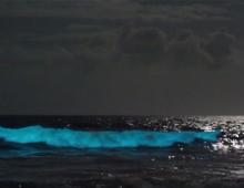 Why are these Outer Banks waves glowing? [VIDEO]; The Answer: Bioluminescent Plankton