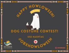 Halloween Dog Costume Contest