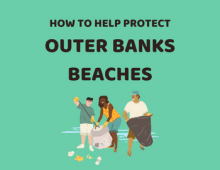How to Protect Outer Banks Beaches Teaser
