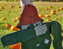 A Visit To The Grandy Pumpkin Patch