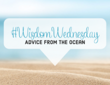 #WisdomWednesday - Advice From The Ocean