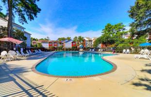 Sparkling pool on a sunny summer day at Peace of Paradise