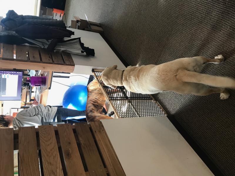 two column layout Left Col alt text