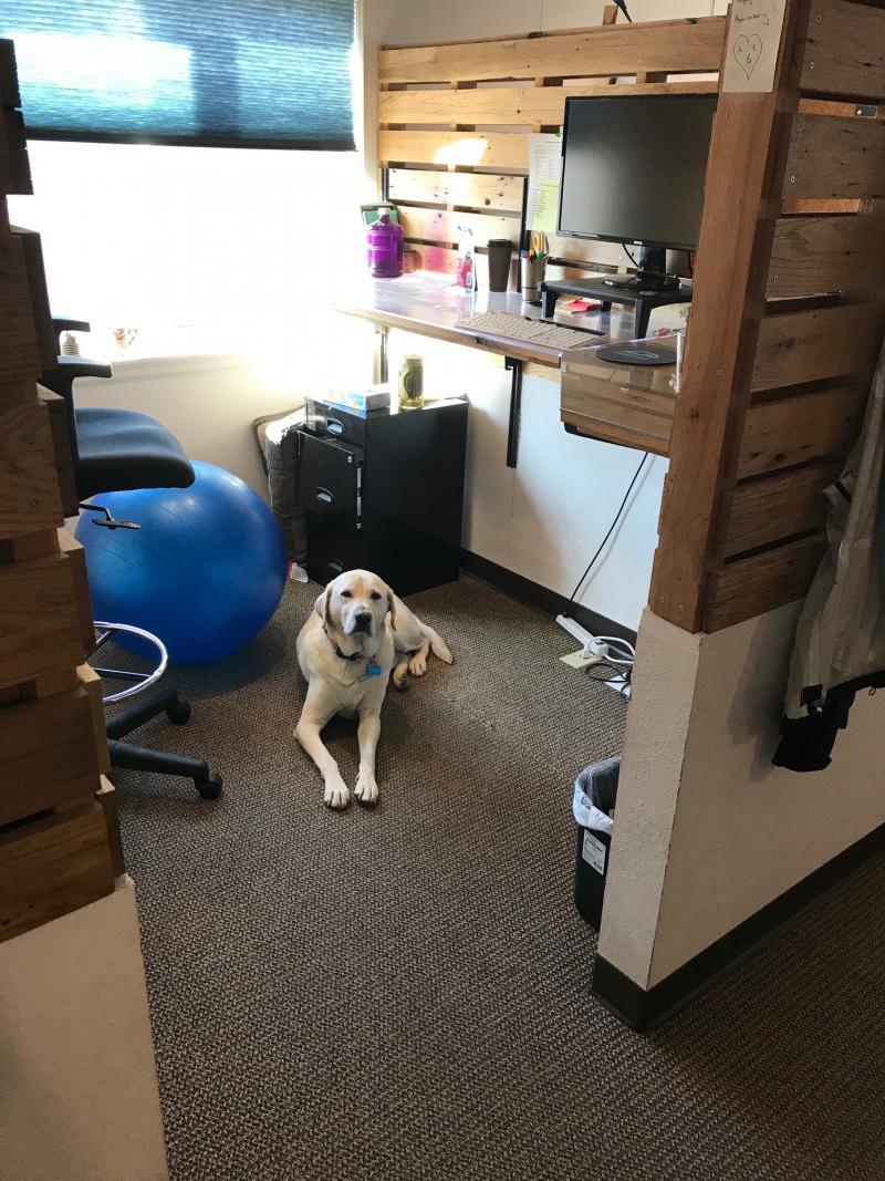 two column layout Right Col alt text