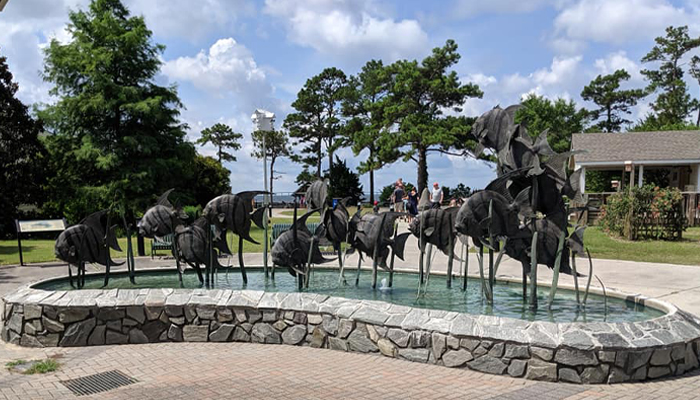 NC Aquarium on Roanoke Island Offers Virtual Programs