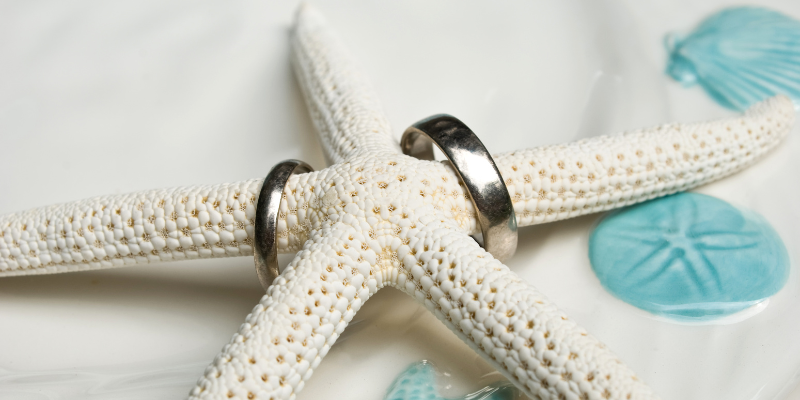 Embrace Coastal Decor