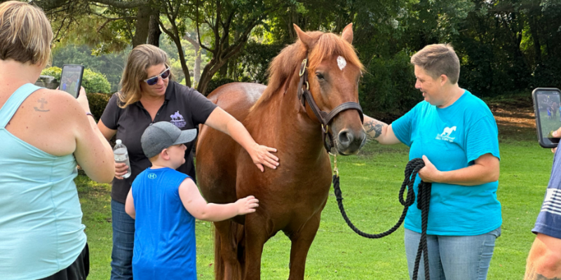 Corolla Wild Horse Fund Family members petting a brown mustang.