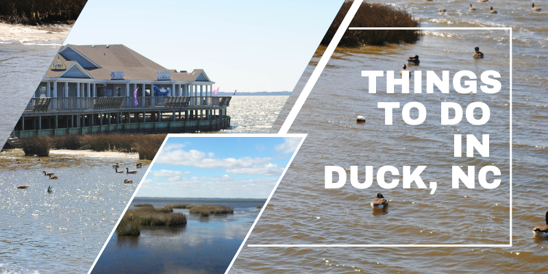 Things to Do in Duck, NC
