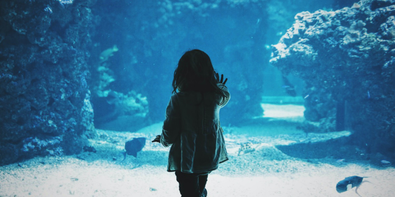 Girl in front of aquarium tank