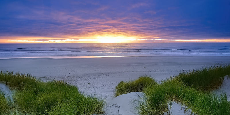 Image of sunrise on the beach.