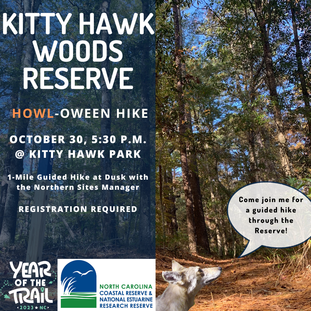 Kitty Hawk Woods Reserve Howl-Oween Hike Kitty Hawk Woods Reserve Howl-Oween Hike