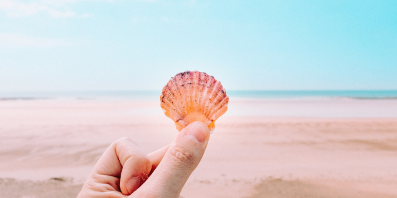 Hand holding a seashell against the waves.
