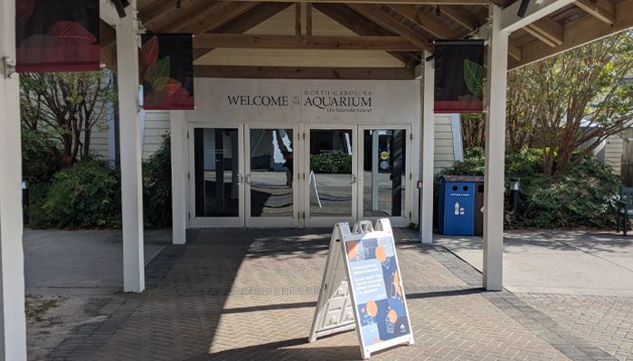 NC Aquarium on Roanoke Island Offers Virtual Programs