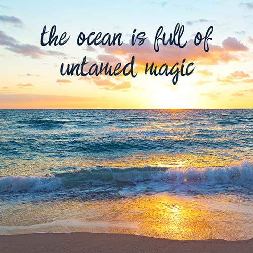 #wisdomwednesday - untamed magic