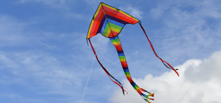 festival, kite, obx
