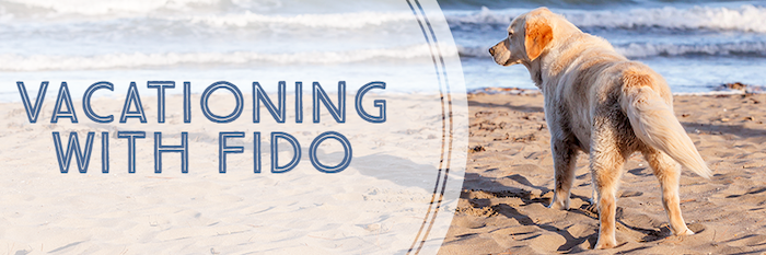 https://www.outerbanksvacations.com/sites/default/files/uploads/vacationing-with-fido-hero.png