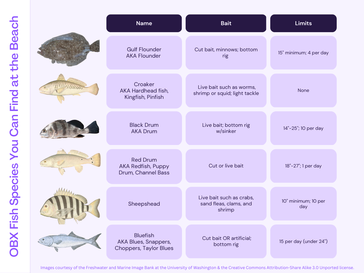 https://www.outerbanksvacations.com/sites/default/files/uploads/vibrant_purple_and_modern_problem_and_solution_table_graph_4.png